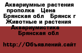 Аквариумные растения прополка › Цена ­ 300 - Брянская обл., Брянск г. Животные и растения » Аквариумистика   . Брянская обл.